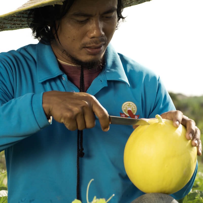 Fresh & Seasonal Agriculture Products